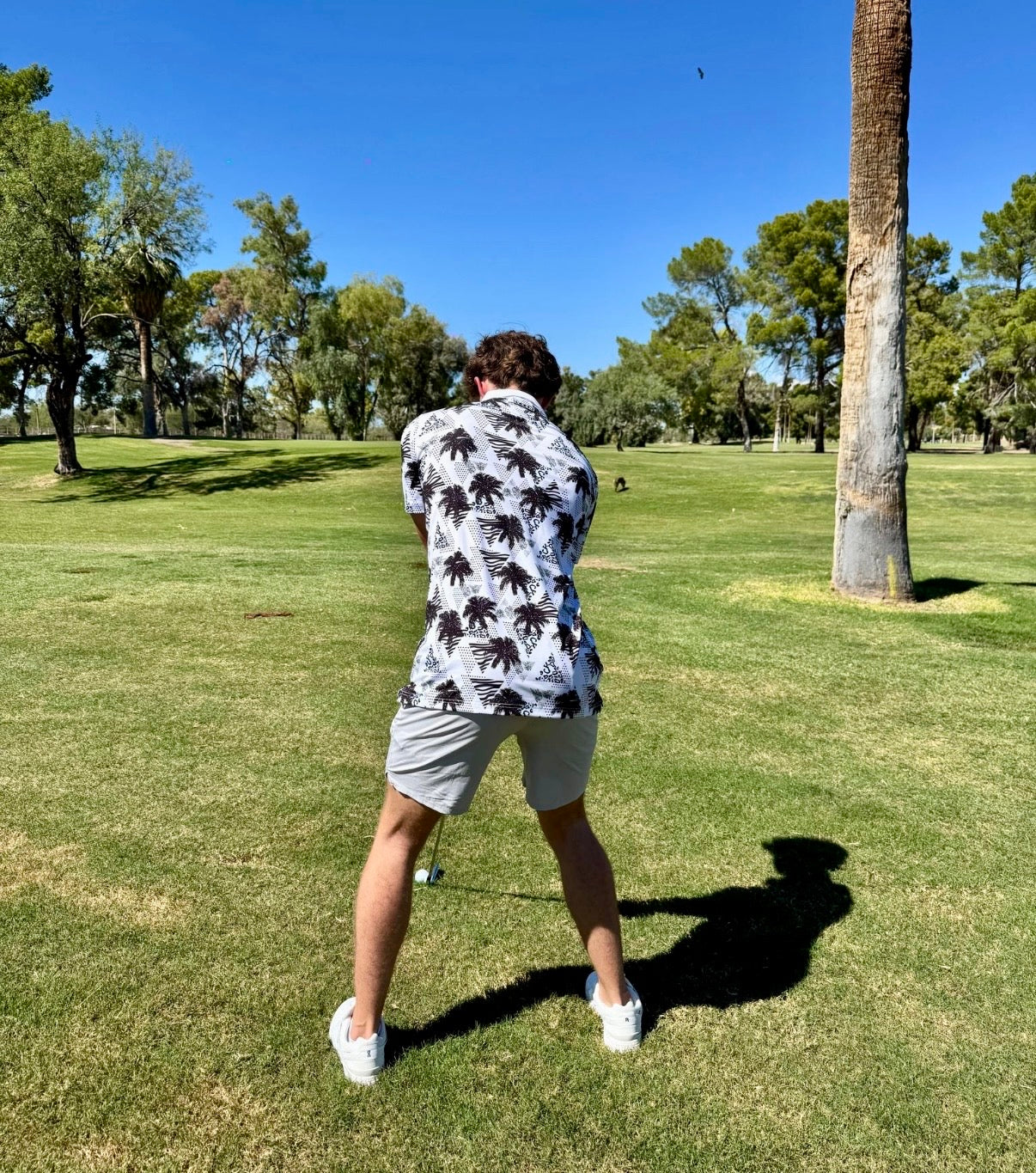 VYZN Polo | Urban Oasis