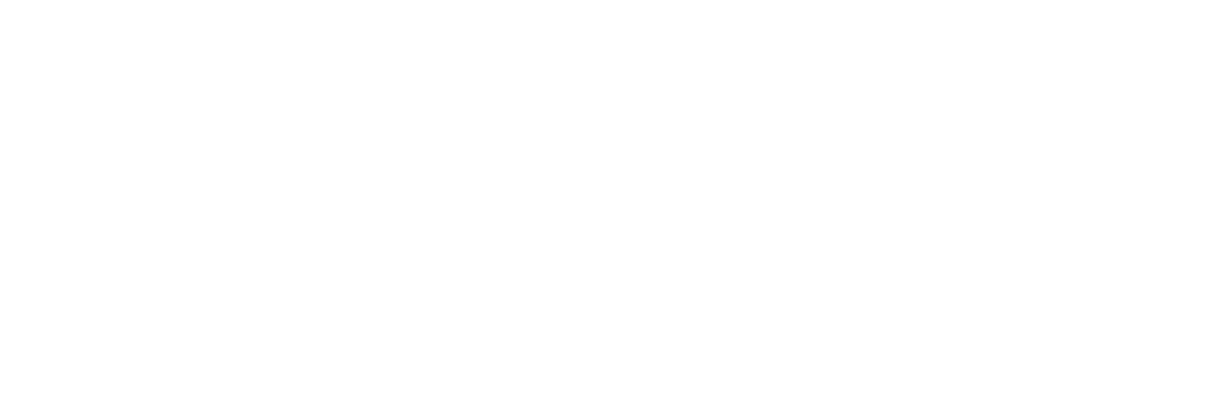 VYZN APPAREL